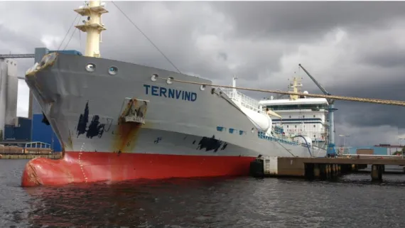 Fig. 6. Damage to TERNVIND.  