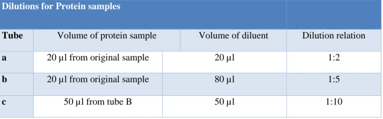 Table 15: Guidelines on how to prepare the BSA standard dilutions according to the BCA Protein Assay protocol  compiled by Novagen (Novagen®)(Novagen)