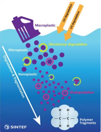 Figure 2: Breakdown of larger plastic products in the ocean; from macroplastics to tinier polymer fragments  (Booth, 2017).