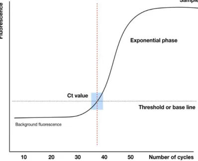 Figure 5: Example of standard curve for qPCR. The curve is generated based on fluorescence quantity and the  number of PCR cycles