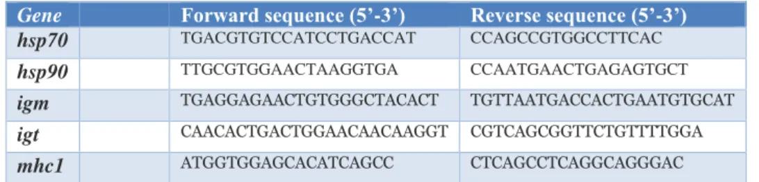 Table 4: Primer sequences of target genes used in qPCR reaction. Information provided by Sigma-Aldrich®