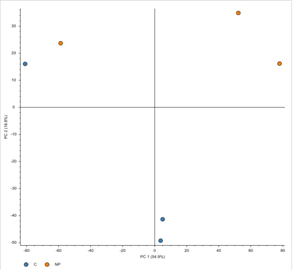 Figure 27: PCA plot visualizing the difference in expression of proteins between the NP exposed samples and  the negative controls not exposed to NPs