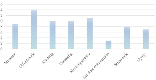 Figur 17: Elevers opplevelser med programmering fra lukket spørreskjema 
