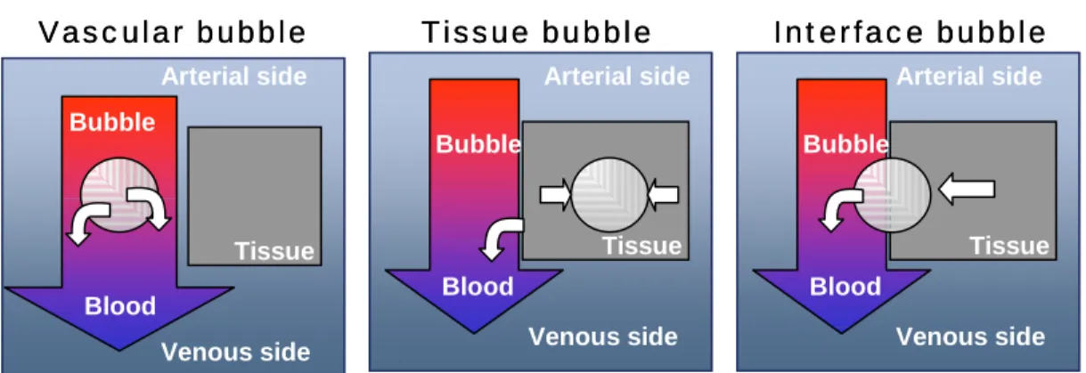 Figure A2.2.  Possible bubble gas exchange situations. 
