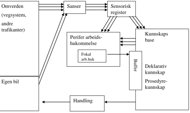 Figur 6.1: Modell av informasjonsbearbeidingsprosessen 