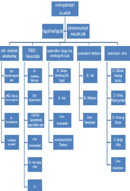 Figur 6: Organisering i asylavdelingen 