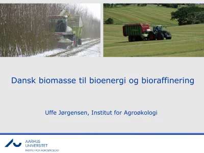 Dansk Biomasse Til Bioenergi Og Bioraffinering