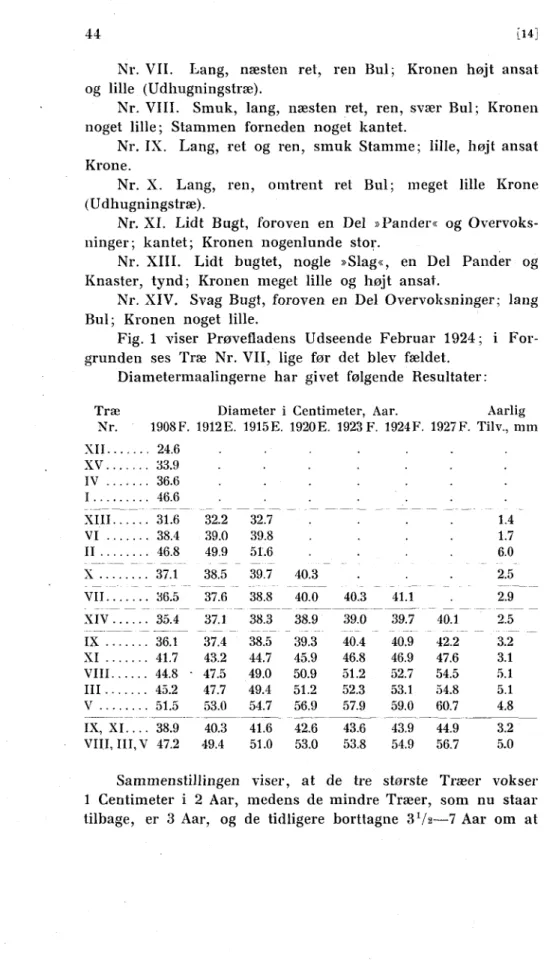 Fig. 1 viser Prøvefladens Udseende Februar 1924; i For- For-grunden ses Træ Nr. VII, lige før det blev fældet