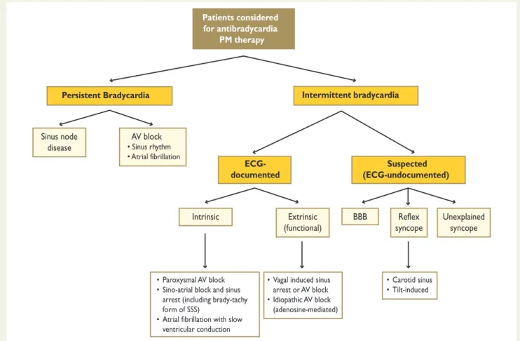 Figure 2 Classification of bradyarrhythmias based on the patient’s clinical presentation