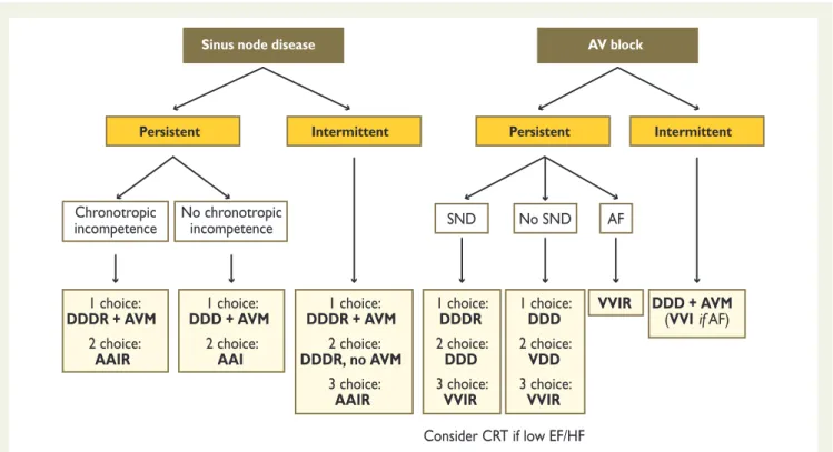 Figure 3 Optimal pacing mode in sinus node disease and AV block. AF ¼ atrial fibrillation; AV ¼ atrioventricular; AVM ¼ AV delay management, i.e