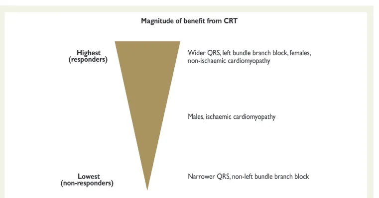 Figure 8 Clinical factors influencing the likelihood to respond to CRT.