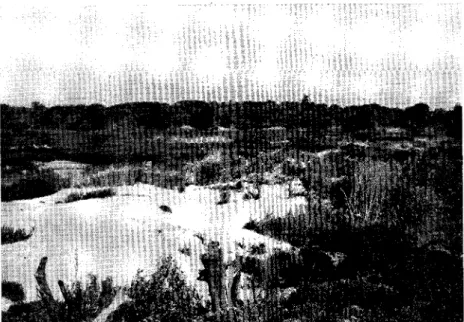 Fig. 7. Losseplads ved gammel grusgrav på grænsen mellem felt nr. 