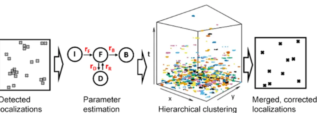 Figure 5: The MBC workflow. The localizations, timepoints, and localization uncertainties are given as input to the algorithm