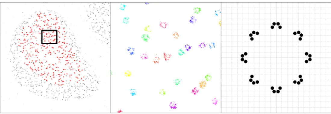 Figure A.3: Nuclear pore complexes in Nup96 cell lines. Left: an example dataset of a cell expressing Nup96-mMaple