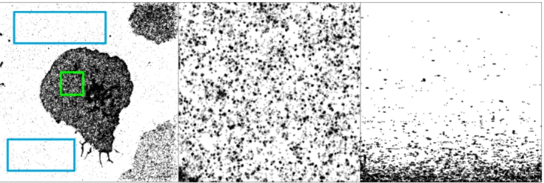 Figure A.4: Left: the full dataset with green region of interest used for fitting the IBCpp model, and blue noise regions used for estimating η 