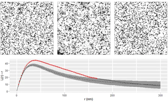 Figure A.5: Blinking corrected CSR test. Top row. Center: the observed data. Left and right: representative simulations of blinking CSR proteins with background noise
