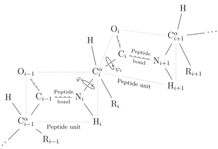 Figure 20: Chemical structure of polypeptide