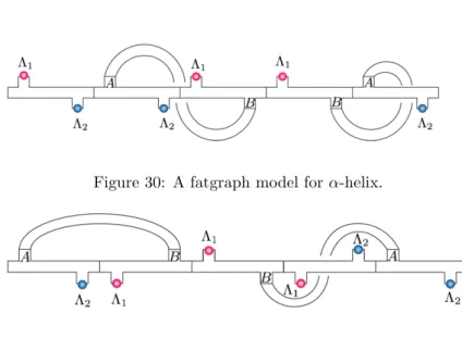 Figure 30: A fatgraph model for α-helix.