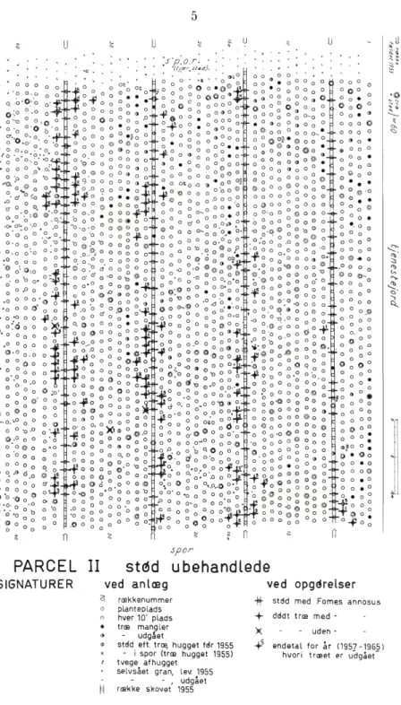 Fig.  1.  Detailkort  over  parcel  i  Store  Dyrehave-forsøget  pr.  1965. 