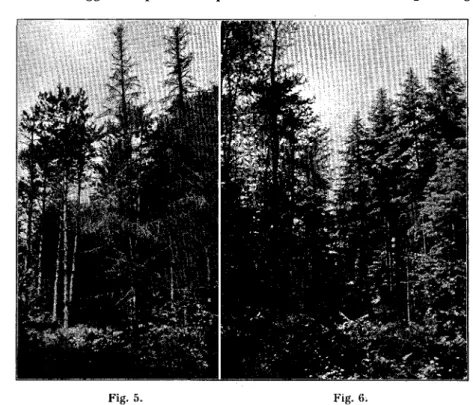 Fig. 5. Fig. 6. 