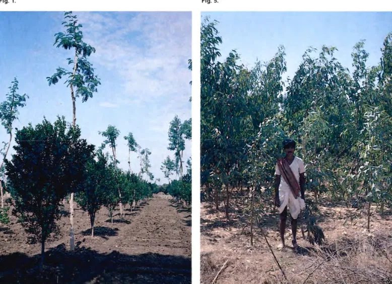 Fig. 1. Fig. 5.