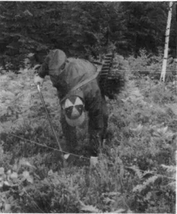 Fig. 3. Skogsjef K. Nordvik, Mathiesen -  Eidsvold Værk forklarer, hvorledes det lyk­