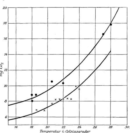 Fig. 6. Respirationen i mg CO2 pr. 100 g Friskvægt pr. Time hos Hovedakser. 