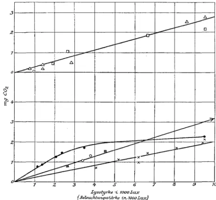 Fig. 7. Den reelle Assimilationsintensitet i mg CO2 pr. 50 cm 2  pr. Time  hos Hovedakser