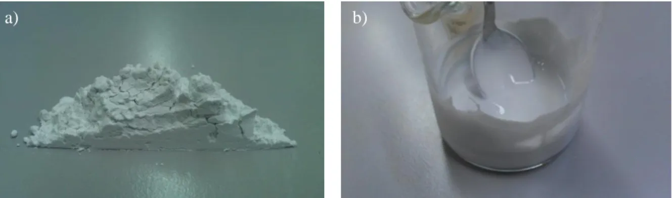 Fig. 3.1 : (a) α-ΤCP powder (b) the resulted slurry from the mixture of the α-TCP powder with the  aqua solution