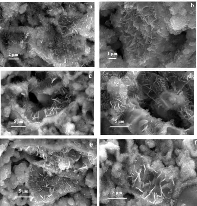 Fig. 4.1 : SEM images in various reaction times: (a) 48 h (b) 72 h (c) 96 h (d) 144 h (e) 192 h and (f)  240 h