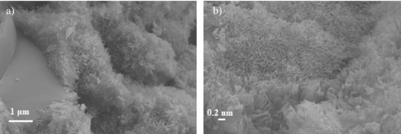 Fig. 4.3 : SEM images using higher magnification at selected reaction times: (a) at 144 h and (b) at  240 h