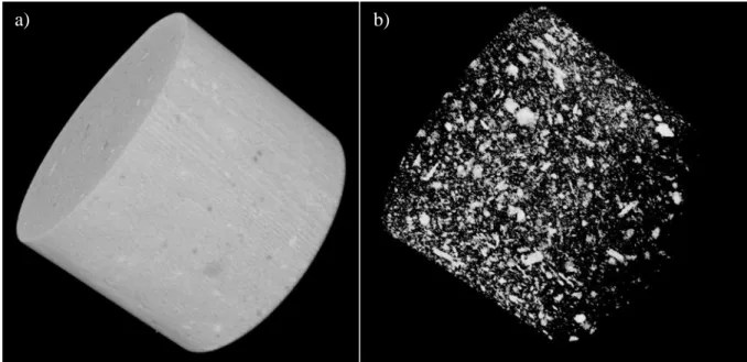 Fig. 4.6 :  Micro-tomography image of the CPC specimens showing (a) the macro-porosity and (b) the  crystals’ agglomeration developed during the hardening stage