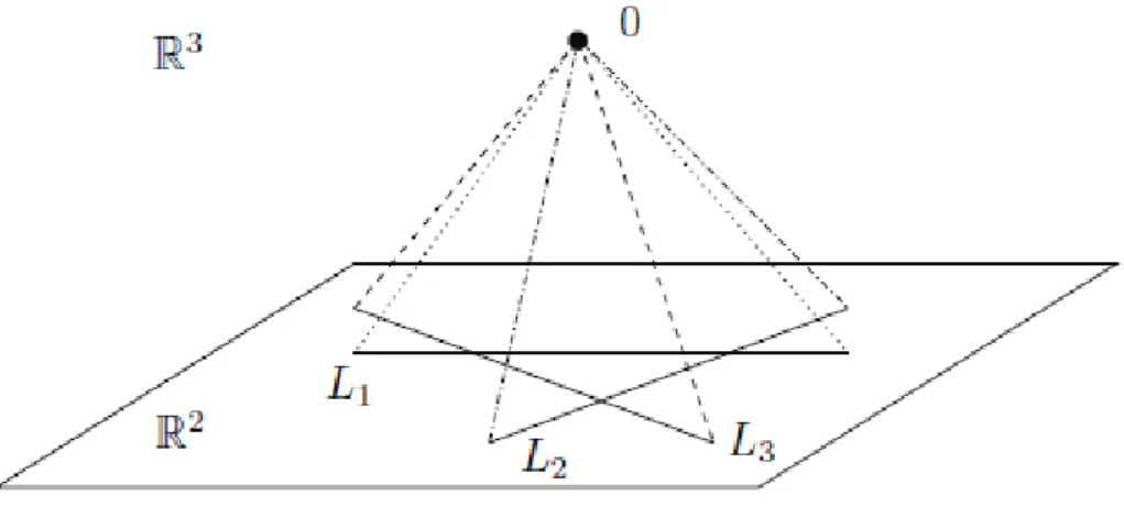 Figure 3: Homogeneous representation