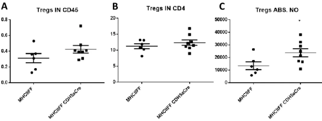 Fig. 23 Treg enumeration. 