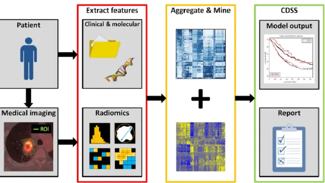 Figure 11.  Display of Radiomics’ methodological processes from the image acquisition to the data  mining and assessment of clinical utility [70].