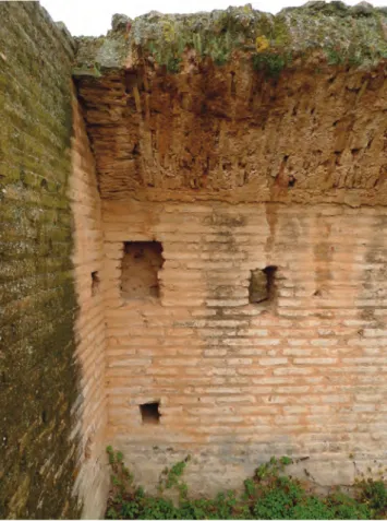 Fig. 3.35 Argos. Detail of the imprints of the formwork on the vault in room (J2)