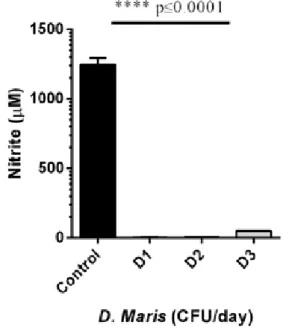 Figure 1. Inhibition of LPS-induced NO production by D. maris  in murine macrophages. Murine macrophages were treated with  LPS (100 ng/ml) in PBS (control), 5 × 10 7  of D