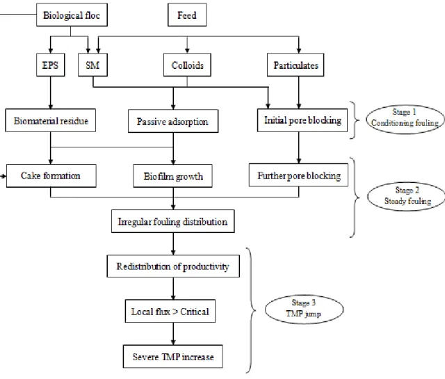 Figure 2. Membrane Bioreactors (MBR) fouling mechanisms for operation at constant flux