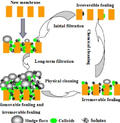 Figure 4. Fouling and cleaning. Reproduced with permission from Reference [3]. Copyright  2009 Elsevier