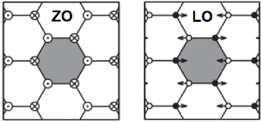 Figure 6: Phonon displacements for the zone center phonons of graphene and hBN: the out- out-of-plane (ZO) mode (left) and the bond-stretching (LO) mode (right) are visible
