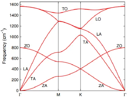 Figure  7:  Theoretically  calculated  phonon  dispersion  curves  for  graphene.  The  branch  polarizations are also visible