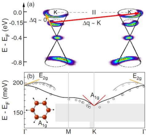 Figure 8: The Kohn anomaly observed in graphene. (a) Strong electron-phonon intravalley (Δq=0) and  intervalley  (Δq=k K )  scattering  from  the  E 2g   LO  phonon  at  the  Γ-point  and  the  A 1g   TO  phonon  at  K,  respectively