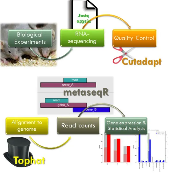 Figure 7: Procedure overview 