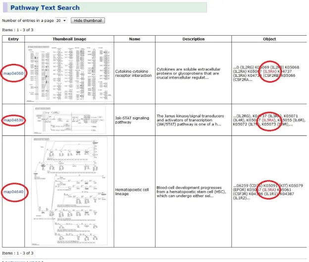 Figure 19: Keyword match in KEGG website 