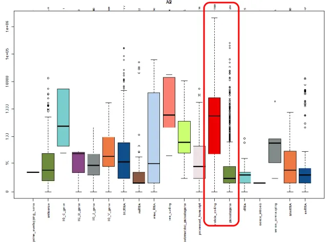 Figure 33: Biotype Detection boxplots 