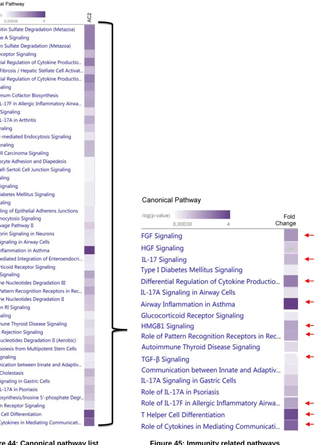 Figure 44: Canonical pathway list Figure 45: Immunity related pathways 