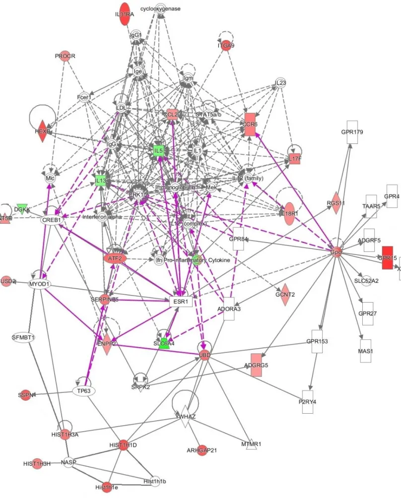 Figure 51: Combined 2nd and 4th network