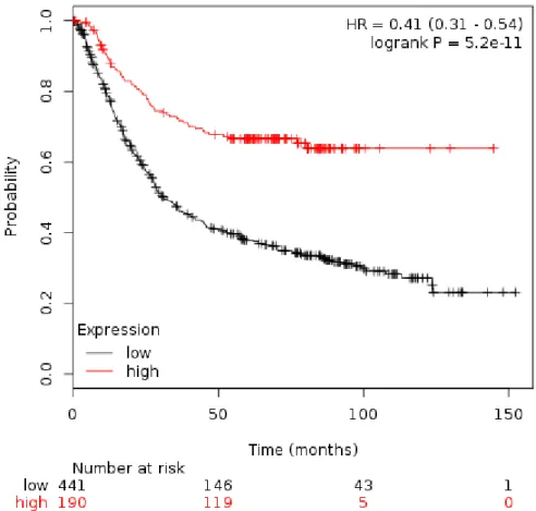 Figure  9.  Kaplan-Meier  plot  for  hnRNPM  mRNA  expression  in  gastric  cancer  cases