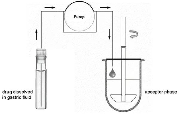 Figure 1: Schematic of miniaturized transfer model system proposed by Klein et al. [32]  Reproduced 1198 