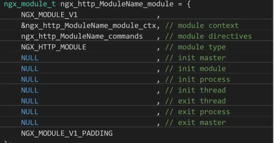 Figure 6: Nginx Module Definition Structure